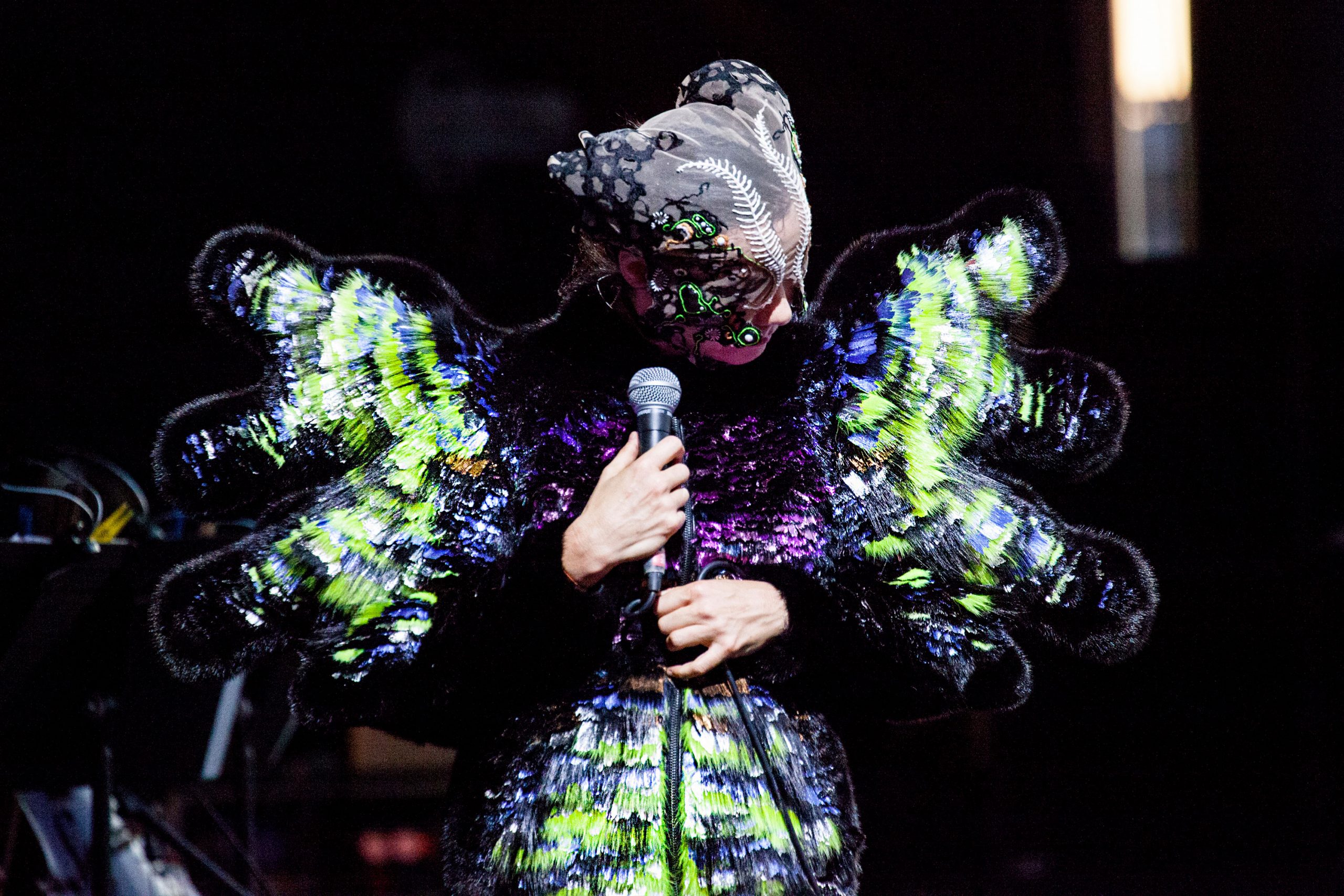 gips passage Inspektør Björk Vulnicura Tour - Nikoline Liv Andersen :Nikoline Liv Andersen
